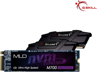 MLD 2TB M700 NVMe Gen4 SSD G.Skill 32GB(2x16) Ripjaws V Ram Avantajlı Paketi  
